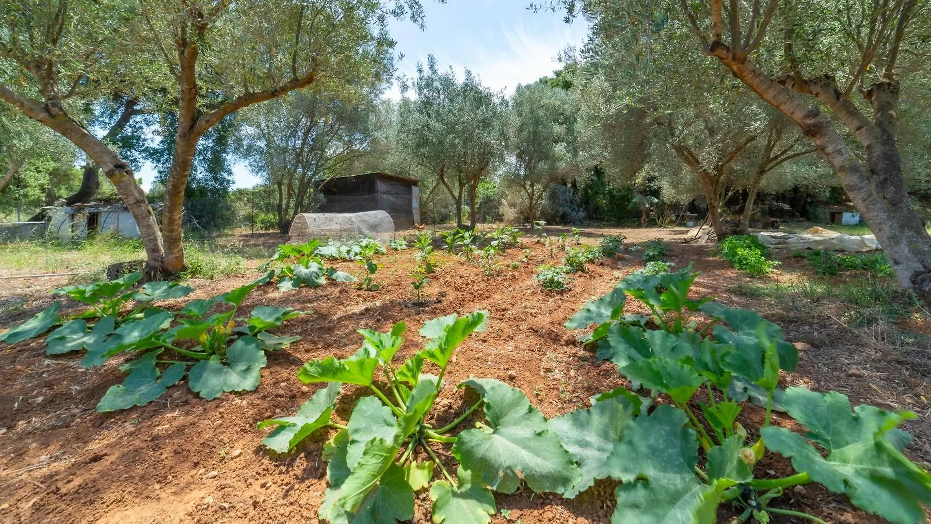 Holiday home Villa Gallinistella Spartia