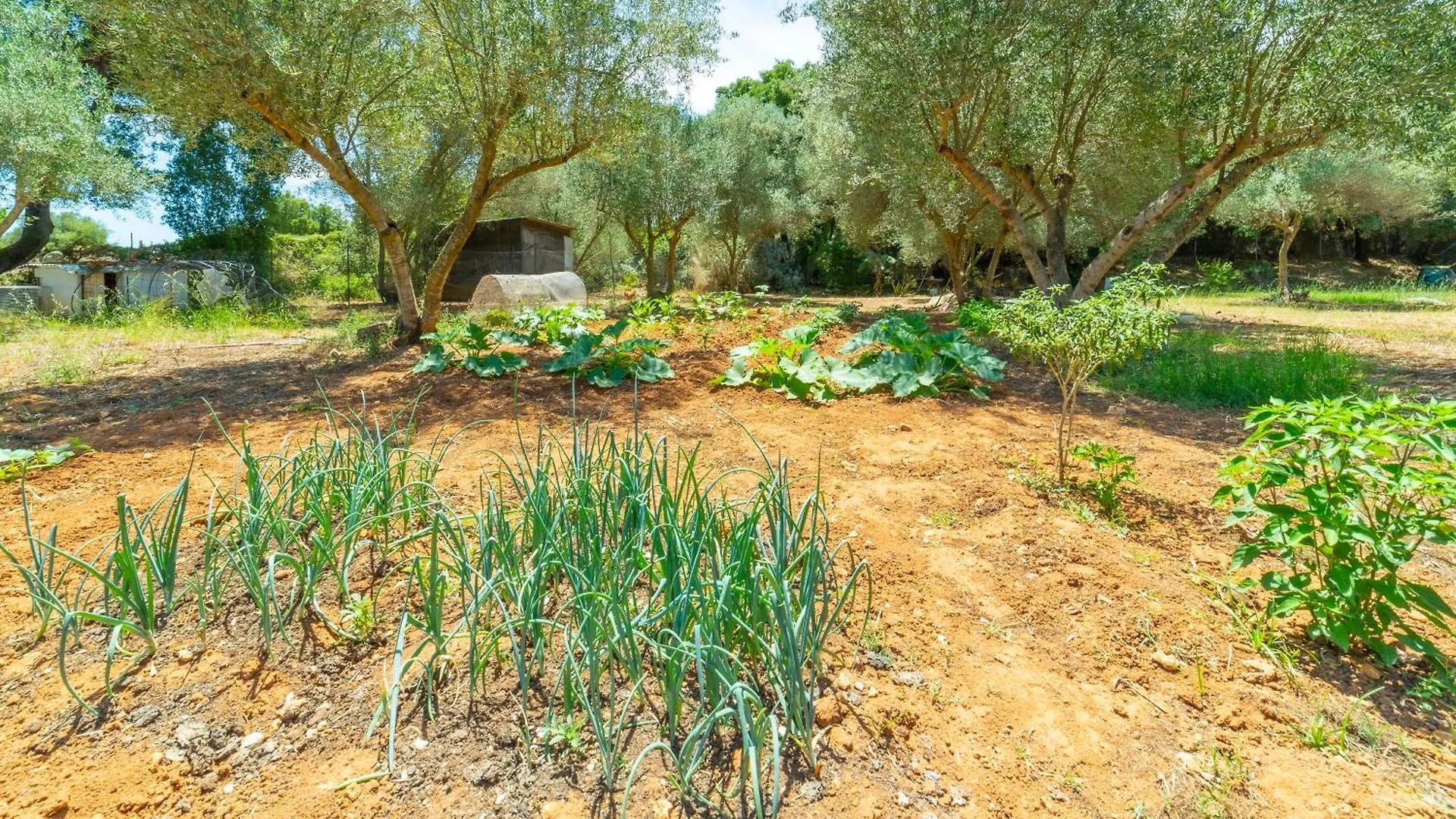 Casa vacanze Villa Galini Stella Spartià